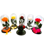 Rosa Preservada - Imagen 6