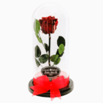 Rosa Preservada - Imagen 3