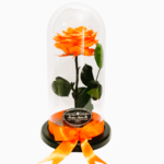 Rosa Preservada - Imagen 4