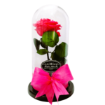 Rosa Preservada - Imagen 5