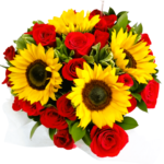 Ramo de girasoles con rosas rojas naturales