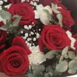 Rosas rojas naturales con hojas de eucalipto