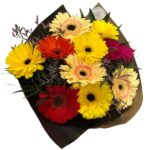 Gerberas de colores