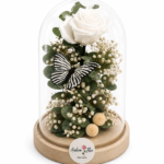 Cúpula de rosa blanca preservada con mariposa y flores secas