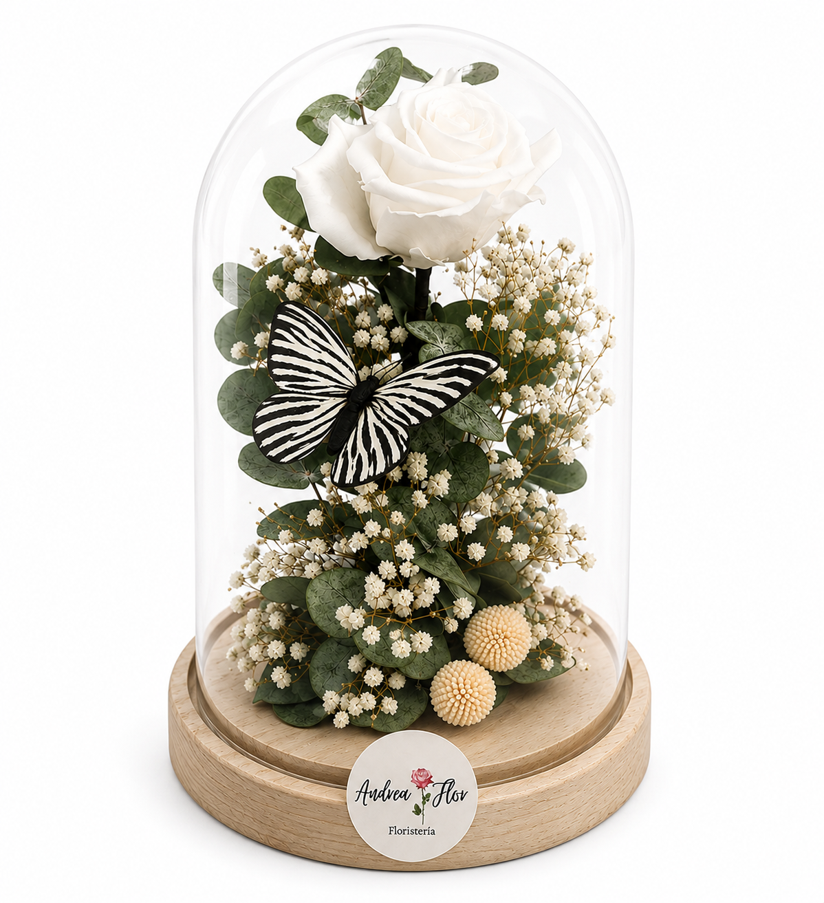 Cúpula de rosa blanca preservada con mariposa y flores secas
