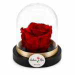 Cúpula de rosa roja preservada pequeña – Andrea Flor